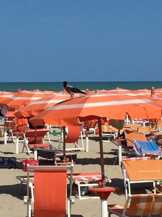Verde Mare "Appartamenti Per Vacanze" Tortoreto Kültér fotó